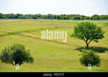 Couple en train de marcher sur Epsom Downs, Epsom, Surrey, Angleterre, Royaume-Uni Banque D'Images