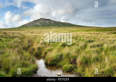 La lande de granit d'herbe au pied d'Roughtor sur Bodmin Moor en Cornouailles, également appelée Rough Tor c'est le deuxième plus haut sommet Banque D'Images