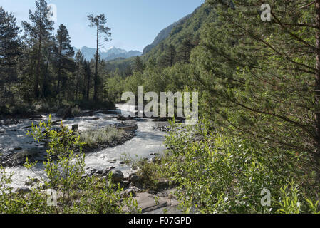 Tôt le matin dans les montagnes au bord de la rivière Banque D'Images