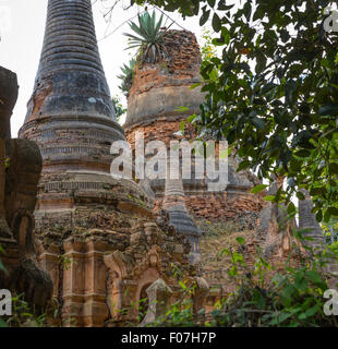 12e siècle en brique stupas envahis de Nyaung Ohak de section les anciennes ruines à Indein, lac Inle, l'État de Shan, Myanmar Banque D'Images