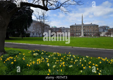 Les jardins, l'arrière du Leinster House 1747, où les deux chambres du parlement irlandais à Dublin, Irlande, Ville Banque D'Images