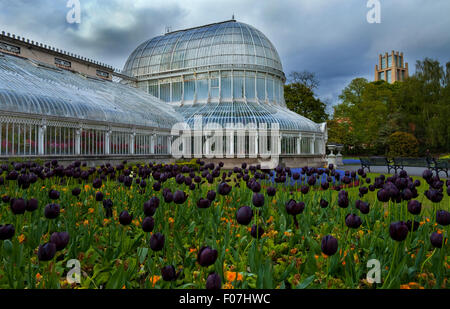 Palm House conçu par Charles Lanyon et construit par Richard Turner en 1840, Botanic Gardens, Belfast City, Irlande du Nord Banque D'Images