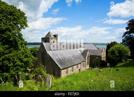 13e siècle Collegiate Church of St Mary, donnant sur la rivière Blackwater, Youghal, comté de Cork, Irlande Banque D'Images