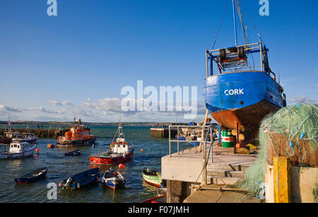 Port de pêche de Cobh, dans le comté de Cork, Irlande Banque D'Images