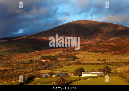 Mount Leinster, 796 mètres c'est la plus haute des montagnes de Blackstairs, sur la frontière du comté de Wexford (Irlande), et Carlow Banque D'Images