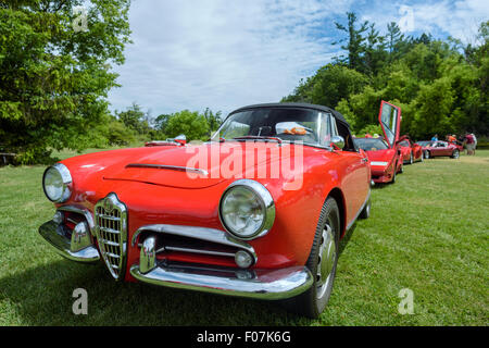 Voitures gagnant de prix au salon annuel des voitures italiennes. La voiture de devant est 1965, Alfa Romeo Spider Giulia modèle Banque D'Images