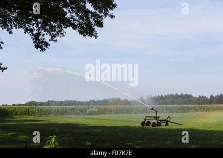 L'aspersion de l'eau sur une prairie de la Hollande, de l'Europe Banque D'Images