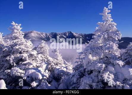 Vue sur Mt. Lafayette De Cannon Mt., Franconia Notch, New Hampshire États-Unis Banque D'Images