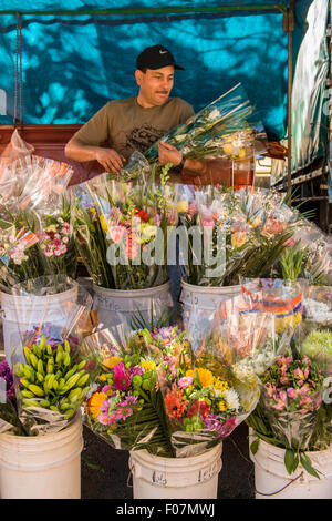 Vente de fleurs coupées, l'homme à La Garita le marché de producteurs au Costa Rica Banque D'Images