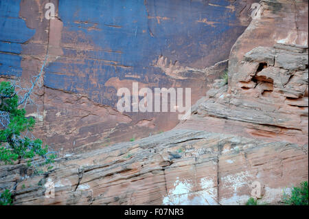 Pettroglyphs indienne ancienne sur les rochers le long de la rivière Colorad dans Moab, Utah, United States. Banque D'Images