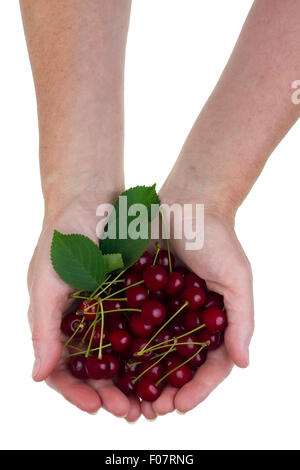 Le travailleur rural tient en main de fruits rouges sweetcherries heap. Concept studio shot isolé Banque D'Images