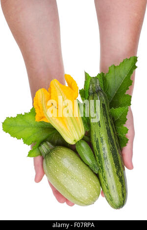 Le travailleur rural tient dans la main des petits légumes verts des courges pour vous. Concept studio isolé Banque D'Images