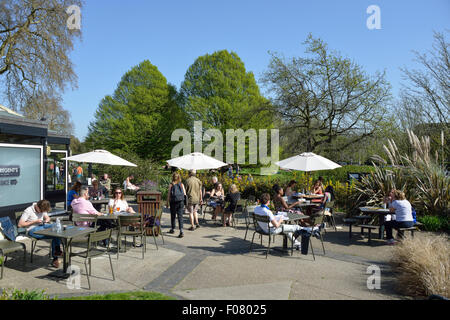 Terrasse à l'Regent's Bar & Kitchen, Regent's Park, London Borough of Camden, Londres, Angleterre, Royaume-Uni Banque D'Images