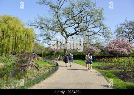 Queen Mary's Gardens, Regent's Park, London Borough of Camden, Londres, Angleterre, Royaume-Uni Banque D'Images