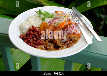 Traditionnel DU COSTA RICA CASADO PLAT DE NOURRITURE Banque D'Images