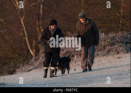 Deux hommes promènent leurs chiens sur un matin glacial froid dans l'Essex. Banque D'Images