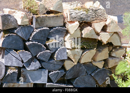 Pile de bois empilés pour l'hiver dans le jardin de la propriété française Banque D'Images