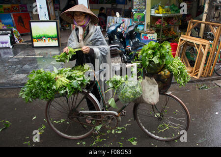 Les vendeurs de fruits et légumes à Hanoi Banque D'Images