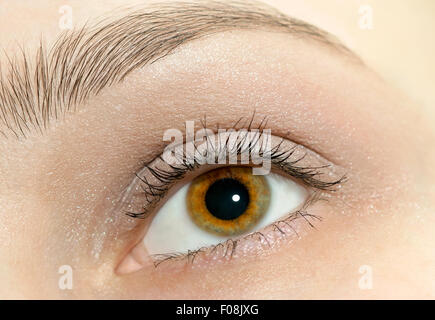 Belle femme eye close-up Banque D'Images