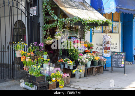 Fitzroy's Florist, Regent's Park Road, Primrose Hill, London Borough of Camden, Londres, Angleterre, Royaume-Uni Banque D'Images