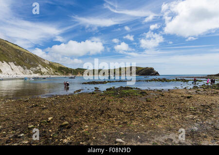 West Lulworth Cove, près de l'île de Purbeck, Lulworth, Dorset, Angleterre, Royaume-Uni Banque D'Images