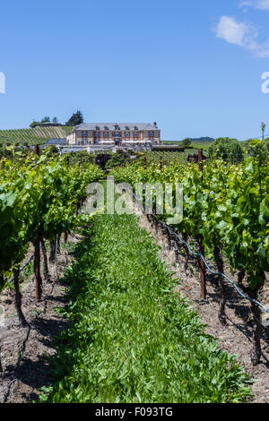 Napa Valley, Californie - 12 mai:très beau château, Domaine Carneros un endroit pour déguster un grand vin, le 12 mai 2015 Napa Valley Banque D'Images