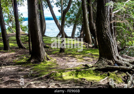 Point Au Roche State Park Banque D'Images