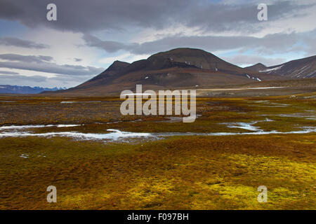 Montagnes le long de la côte de l'Boltodden Kvalvagen, Svalbard, Norvège, Spitzberg / Banque D'Images