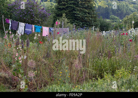 Blanchisserie accroché à un lave-ligne dans un jardin de fleurs sauvages Banque D'Images