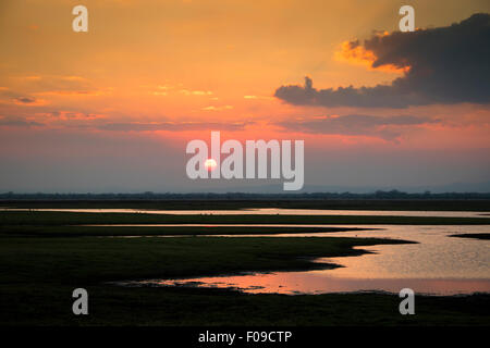 Coucher de soleil sur le parc national de Gorongosa Banque D'Images