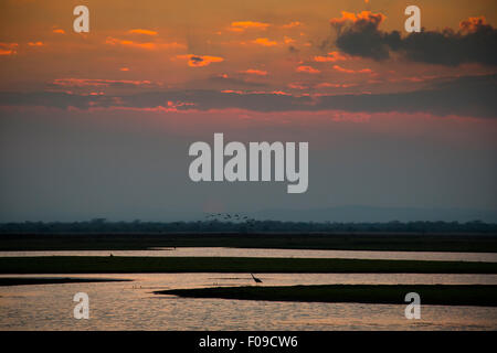 Coucher de soleil sur le parc national de Gorongosa Banque D'Images