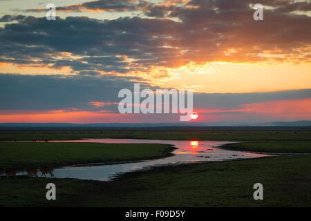 Coucher de soleil sur le parc national de Gorongosa Banque D'Images