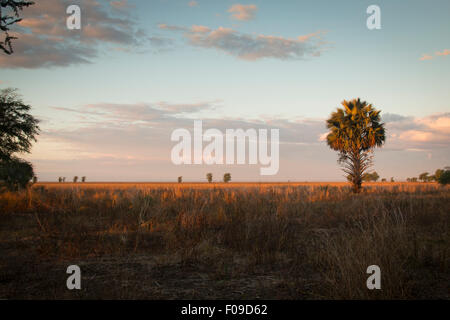 Coucher de soleil sur le parc national de Gorongosa Banque D'Images