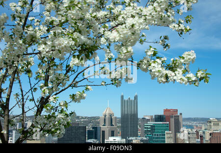 Fleurs de Printemps SUR LE CENTRE-VILLE DE MOUNT WASHINGTON DONNENT SUR PITTSBURGH PENNSYLVANIA USA Banque D'Images