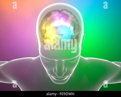L'anatomie humaine de neurones du cerveau sur fond coloré Banque D'Images