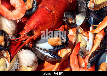 Plaque de crustacés et fruits de mer crustacés comme le homard frais à la vapeur de palourdes Moules crevettes et crabe comme un dîner gastronomique de l'océan. Banque D'Images