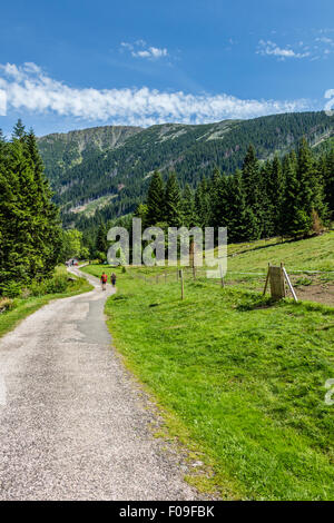 Sur le sentier près de Pec pod Snezkou Krkonose en montagne, République Tchèque Banque D'Images