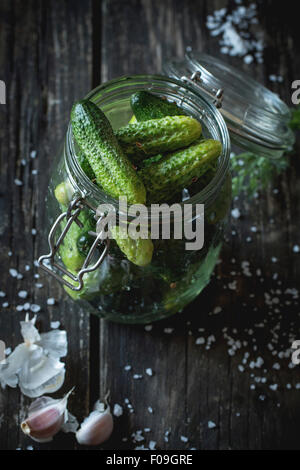 Bocal en verre avec des concombres à faible teneur en sel. Sur une table en bois noir avec saupoudré de sel de mer et l'ail. Style rustique foncé. Banque D'Images