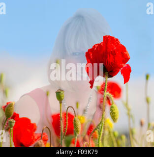 L'humeur de l'été romantique- une femme blonde dans un champ de coquelicots en fleurs au premier plan. L'art numérique et l'illustration. Banque D'Images