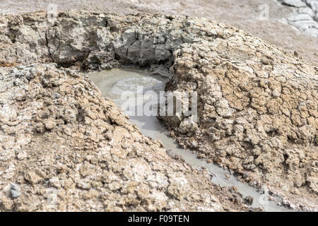 Piscines de boue volcans, alias volcans sédimentaires, dôme de boue, près de Shamakhi, Azerbaïdjan Banque D'Images