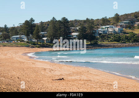 Dame de soleil sur la plage d'Avalon, sur les plages du nord de Sydney, Nouvelle Galles du Sud, Australie Banque D'Images