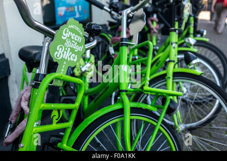 Une rangée de green budget location de vélos à Amsterdam Pays-Bas Banque D'Images