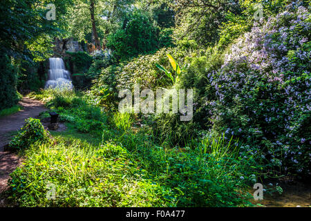 La chute d'eau connue sous le nom de la Cascade sur le Bowood Estate dans le Wiltshire en été. Banque D'Images