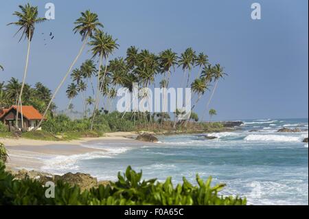 Vue sur les palmiers et les maisons sur la plage à Kalpitiya, Sri Lanka, Banque D'Images