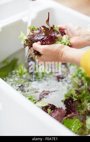 Femme lave-légumes dans un évier de cuisine Banque D'Images