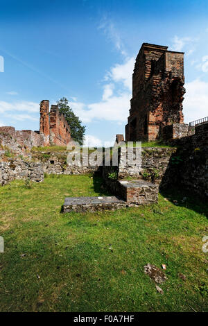 Bradgate Park est un parc public de Charnwood Forest, dans le Leicestershire, en Angleterre, au nord-ouest de Leicester. Banque D'Images