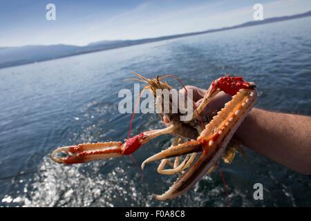 Fisherman holding up les crustacés, île de Skye, Écosse Banque D'Images