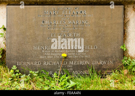 Mémorial aux enfants de Charles Darwin, dans le cimetière de l'église St Mary, Downe, Kent. Banque D'Images