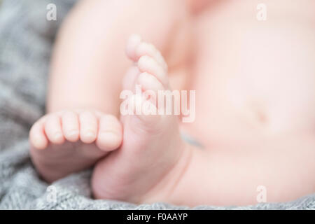 Close up of baby's toes Banque D'Images