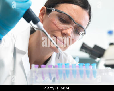 L'échantillon d'ADN de pipetage scientifique en laboratoire en flacon Banque D'Images